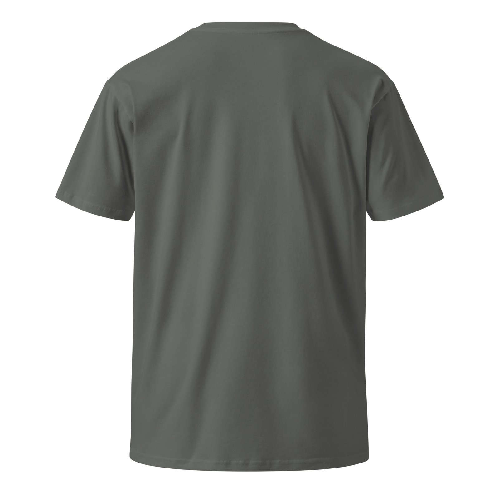 unisex-premium-t-shirt-charcoal-back-6a5f246b0ab28.jpg